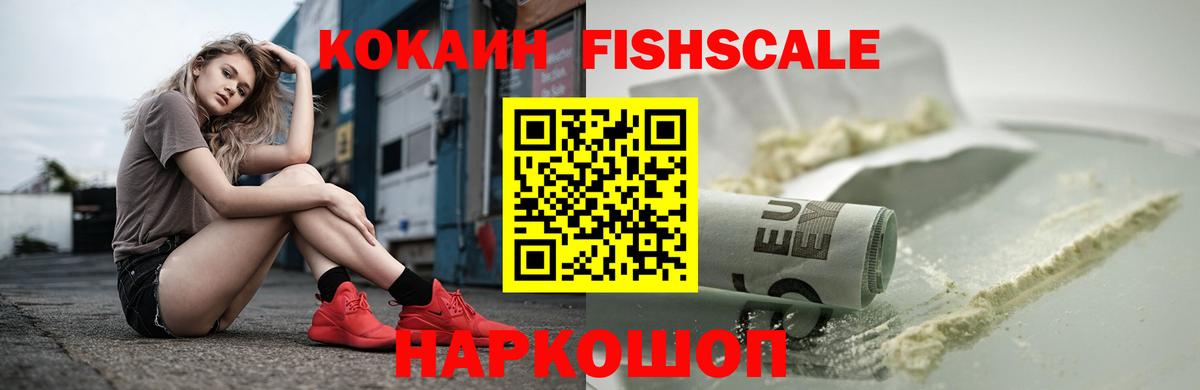 COCAIN  Вход с VPN  Дзержинск  Cocaine Fish Scale 