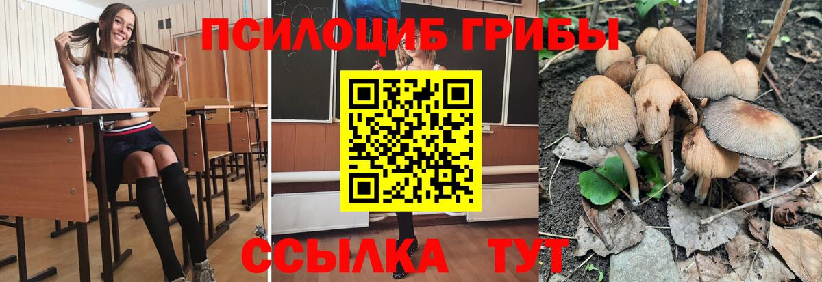 Галлюциногенные грибы Magic Shrooms Дзержинск